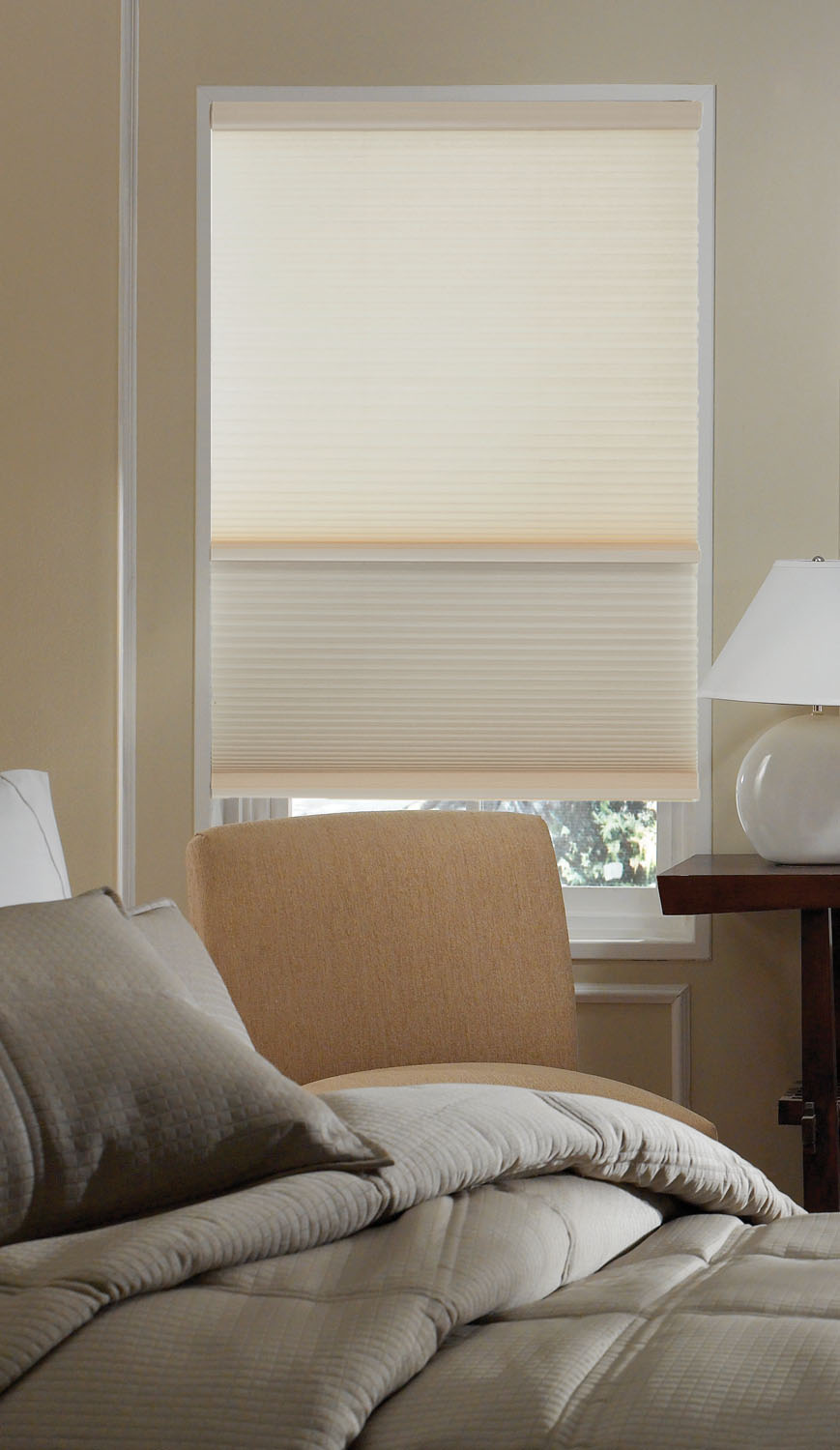 2in1 Day/Night Cordless Cellular Shades
