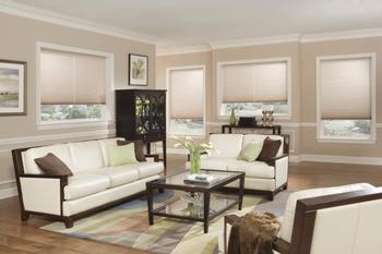  Light Filtering Double Cellular Shades 1/2